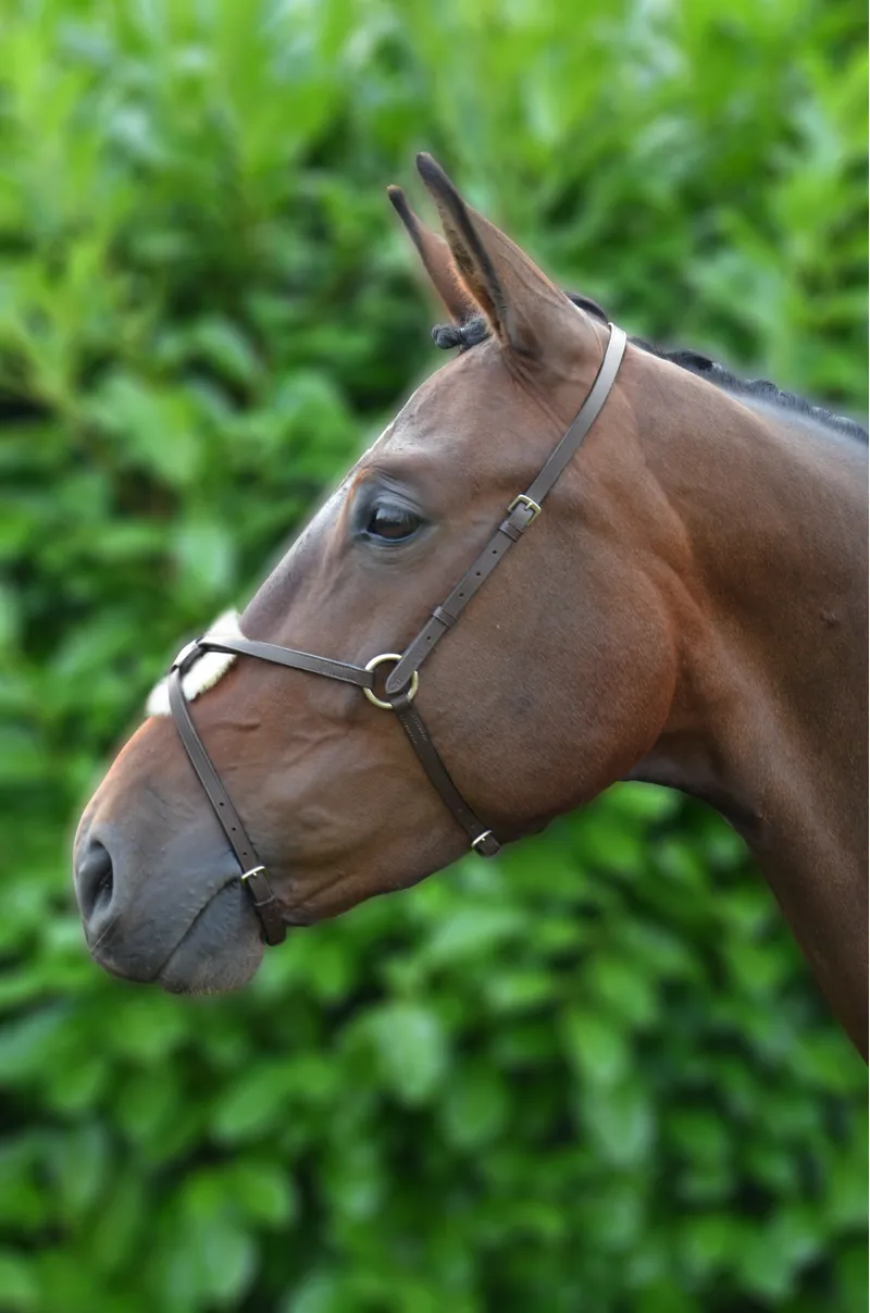 Hy Equestrian Mexican Grackle Nose Band - Brown